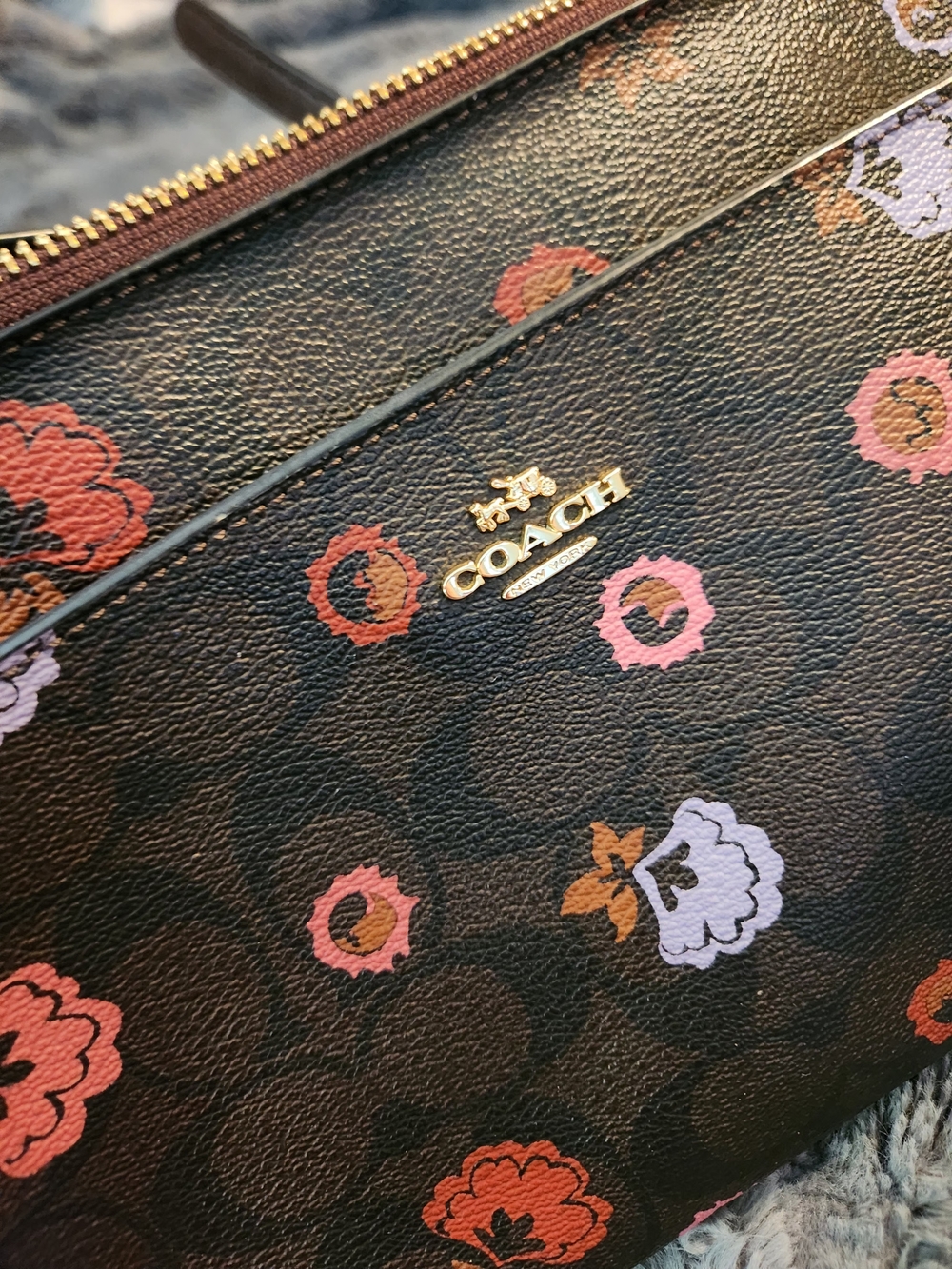 COACH Messenger Bag